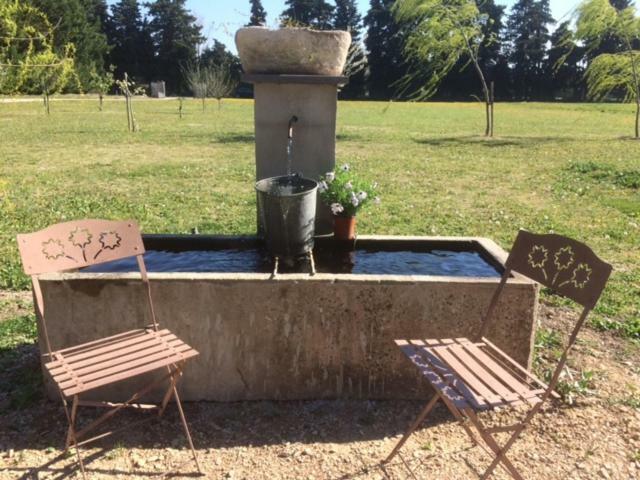 Affittacamere Safranière des Sorgues Le Thor Esterno foto